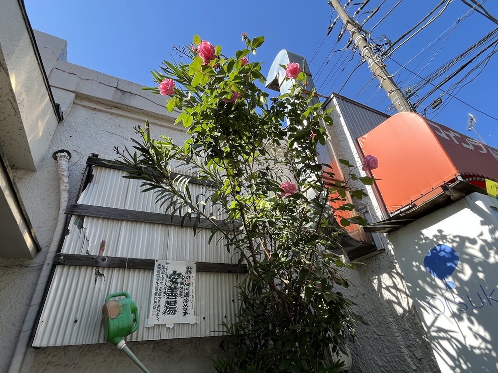 銭湯で整う2023〜武蔵白石駅／【閉業】安善湯〜の写真3