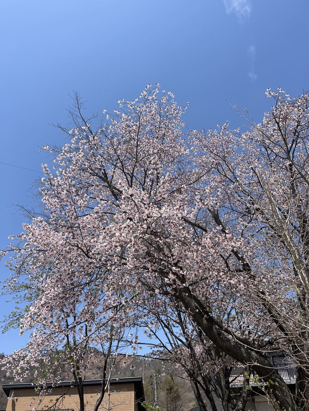 山形駅前〜蔵王温泉峠走の写真6