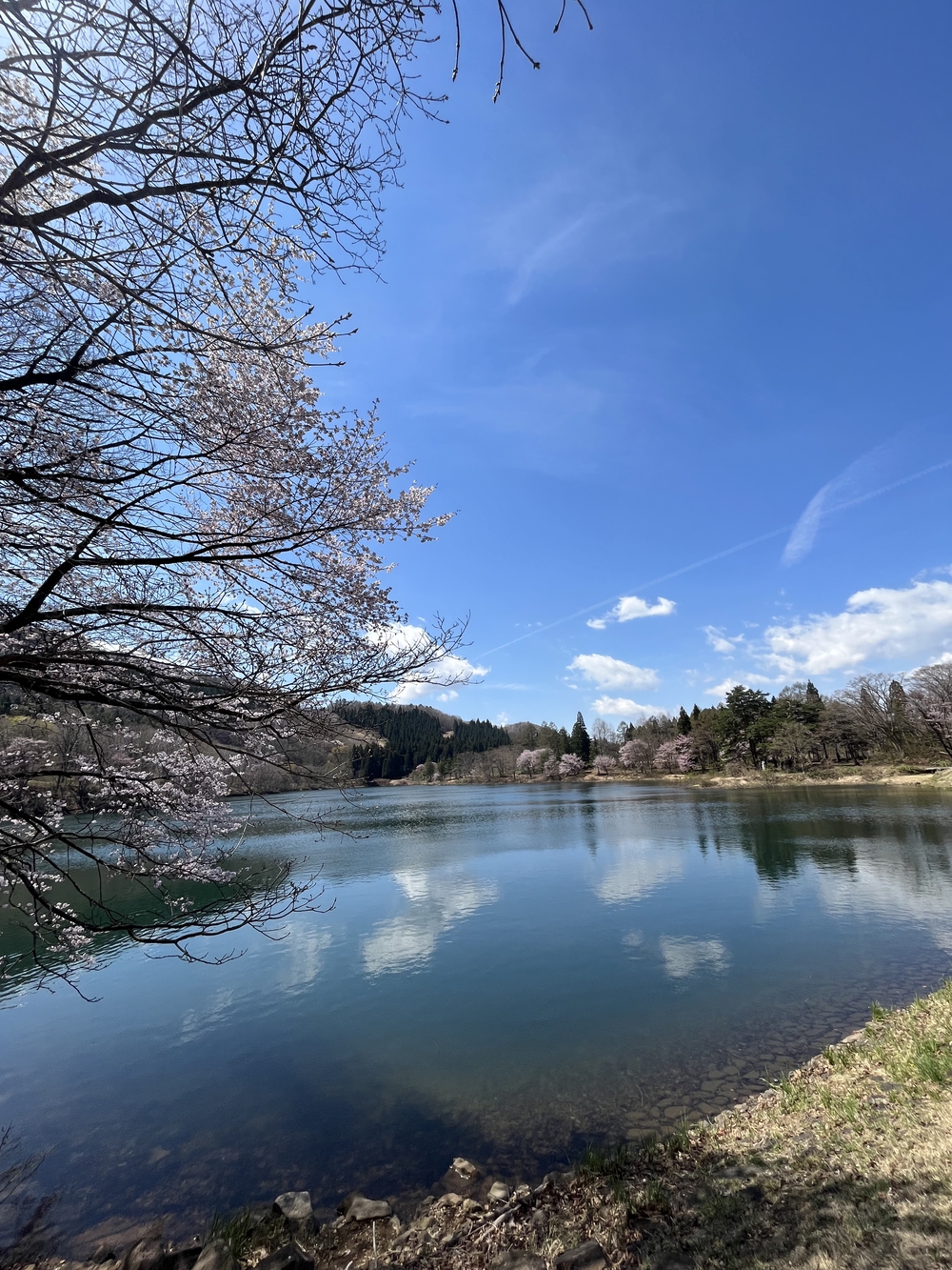 蔵王温泉〜山形駅前峠走の写真4