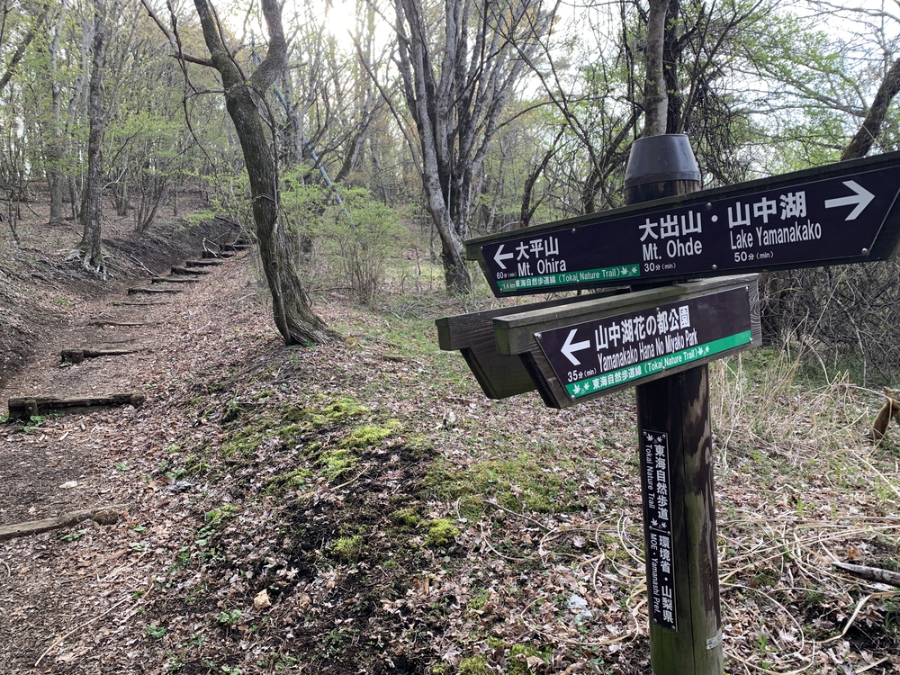 富士の絶景　石割山トレイルの写真3