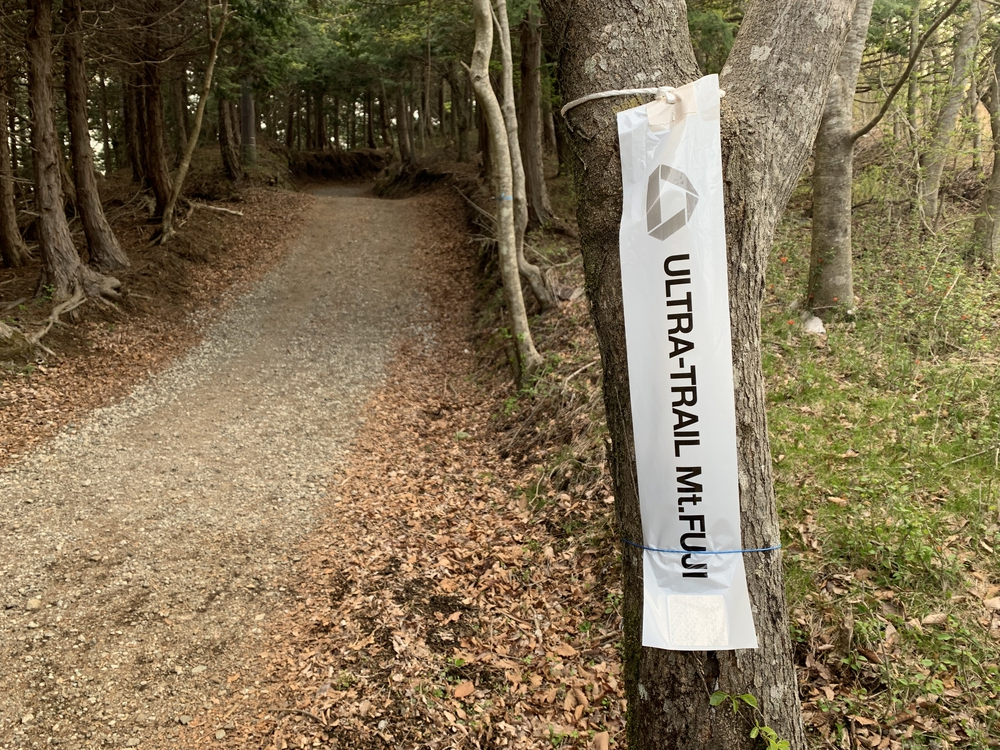 富士の絶景　石割山トレイルの写真4