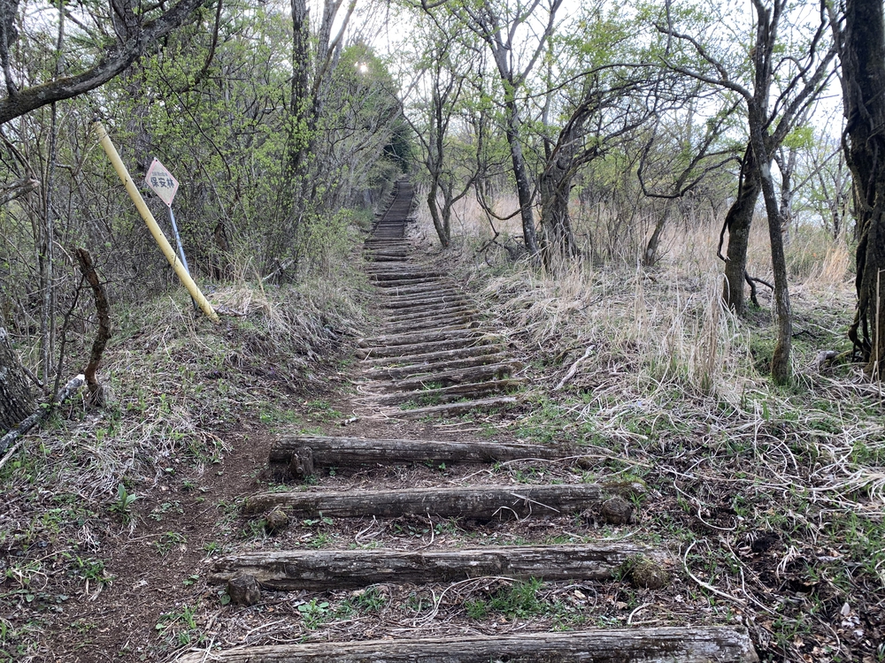 富士の絶景　石割山トレイルの写真5