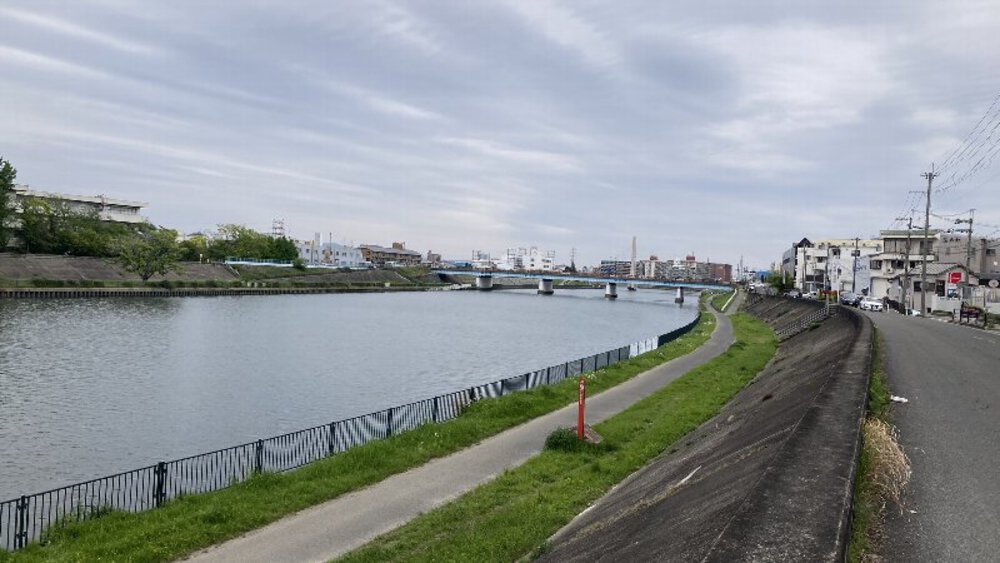 北摂の空を泳ぐ鯉のぼり♪の写真4