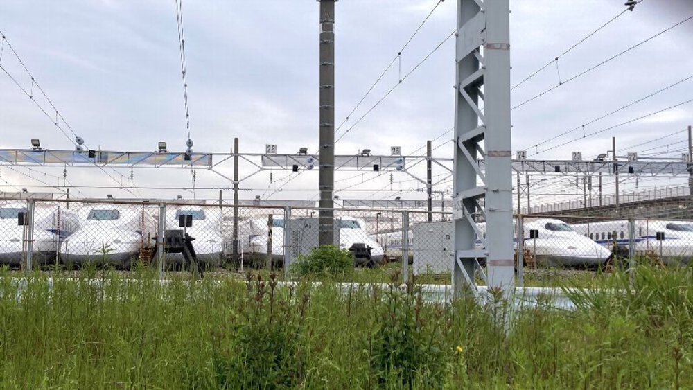 北摂の空を泳ぐ鯉のぼり♪の写真5