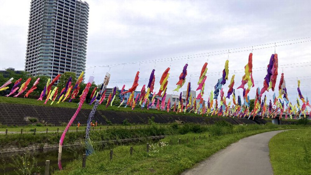 北摂の空を泳ぐ鯉のぼり♪の写真9