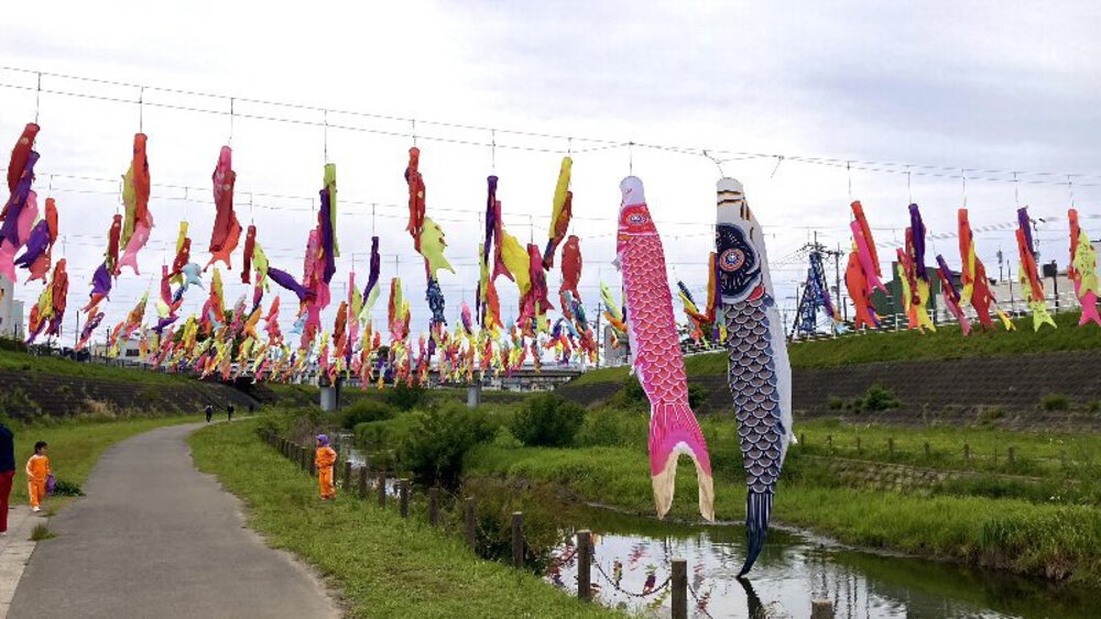 北摂の空を泳ぐ鯉のぼり♪の写真10