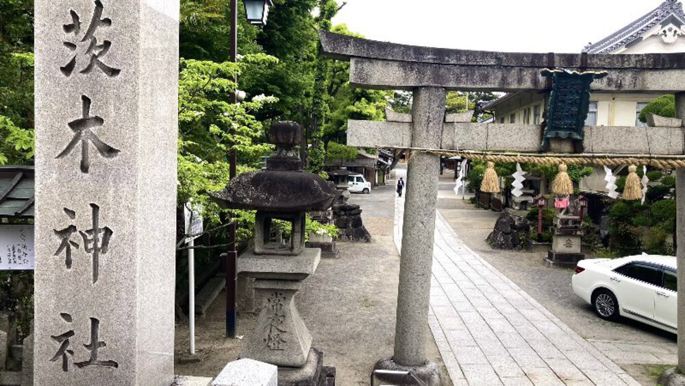 北摂の空を泳ぐ鯉のぼり♪の写真14