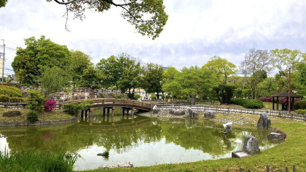 北摂の空を泳ぐ鯉のぼり♪の写真15