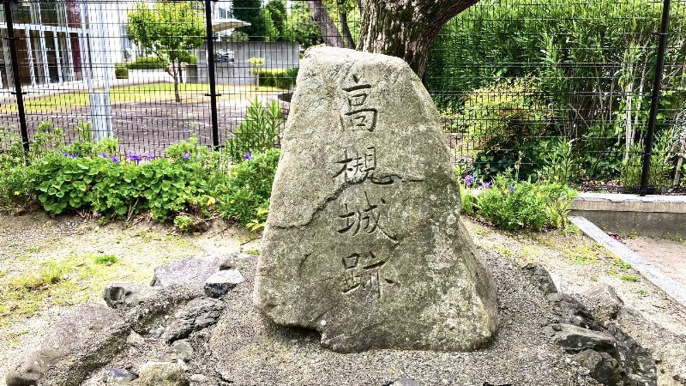 北摂の空を泳ぐ鯉のぼり♪の写真17