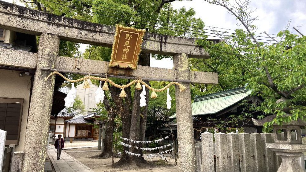 北摂の空を泳ぐ鯉のぼり♪の写真20