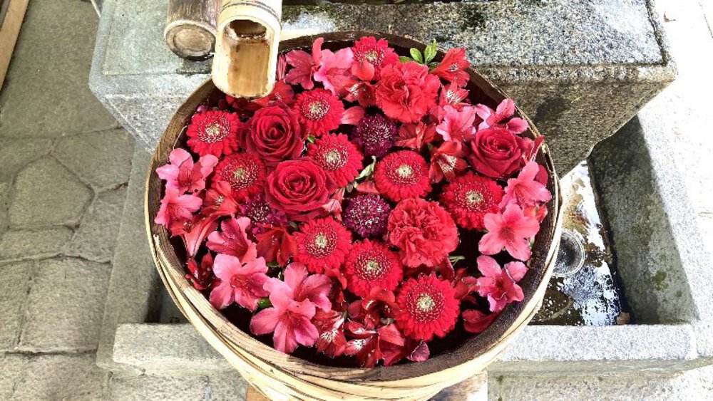 北摂の空を泳ぐ鯉のぼり♪の写真21