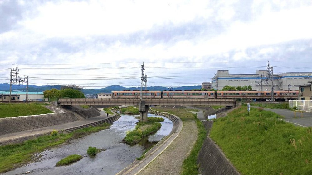 北摂の空を泳ぐ鯉のぼり♪の写真22