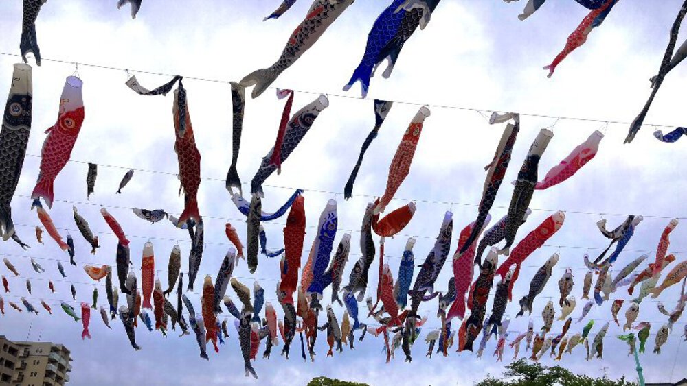 北摂の空を泳ぐ鯉のぼり♪の写真24