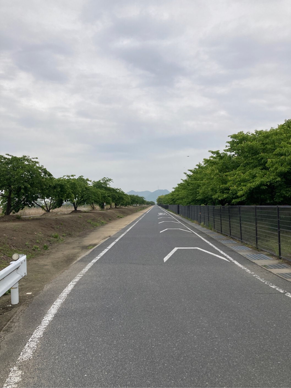岡南飛行場〜児島湖花回廊〜児島湾大橋の写真3