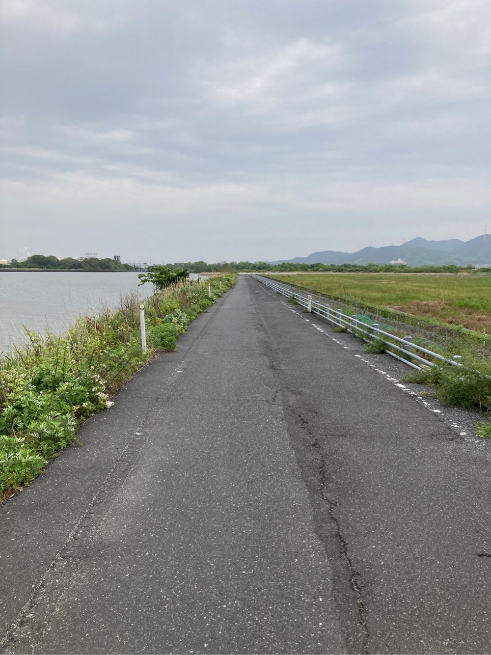 岡南飛行場〜児島湖花回廊〜児島湾大橋の写真4