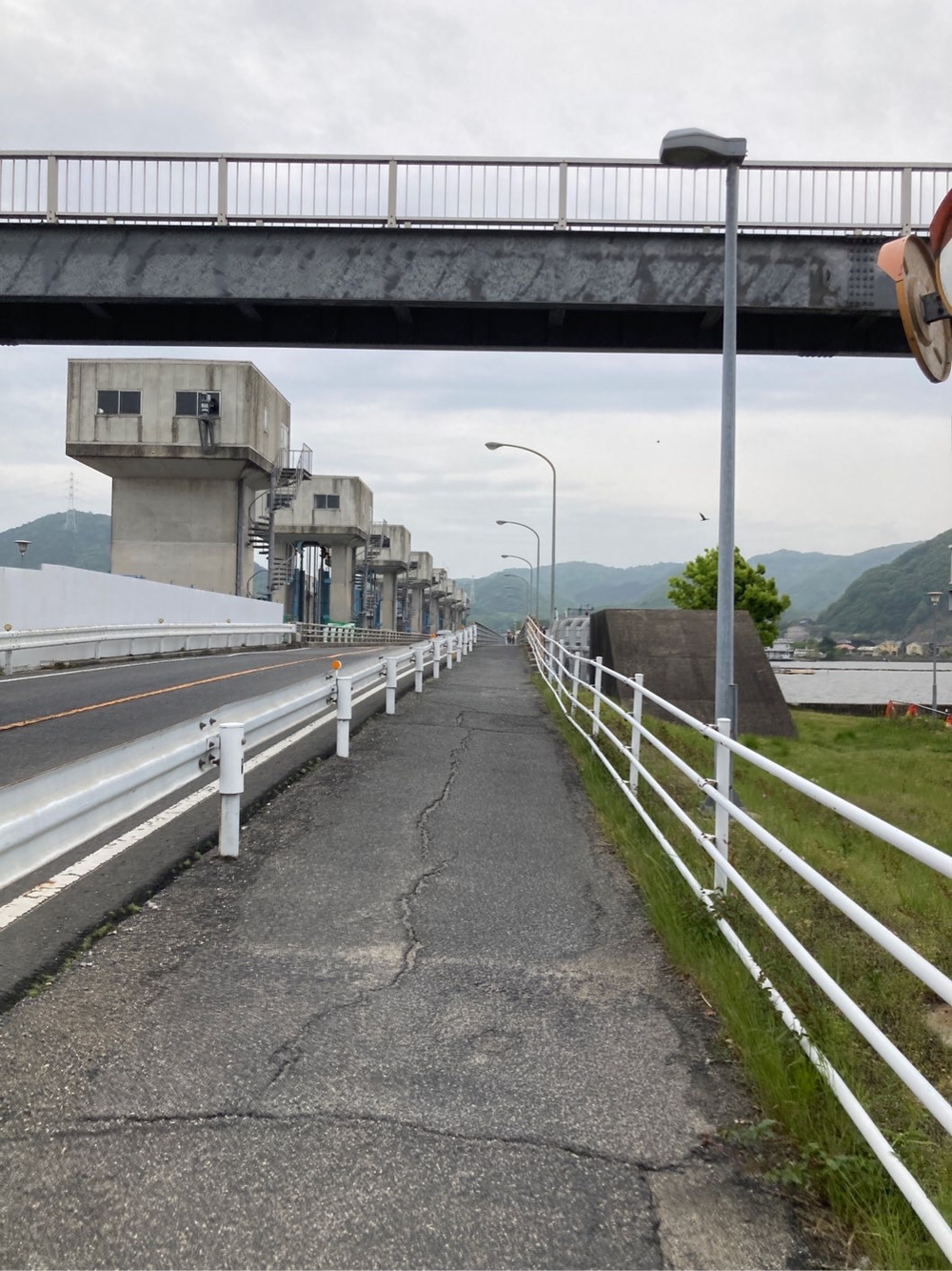 岡南飛行場〜児島湖花回廊〜児島湾大橋の写真5