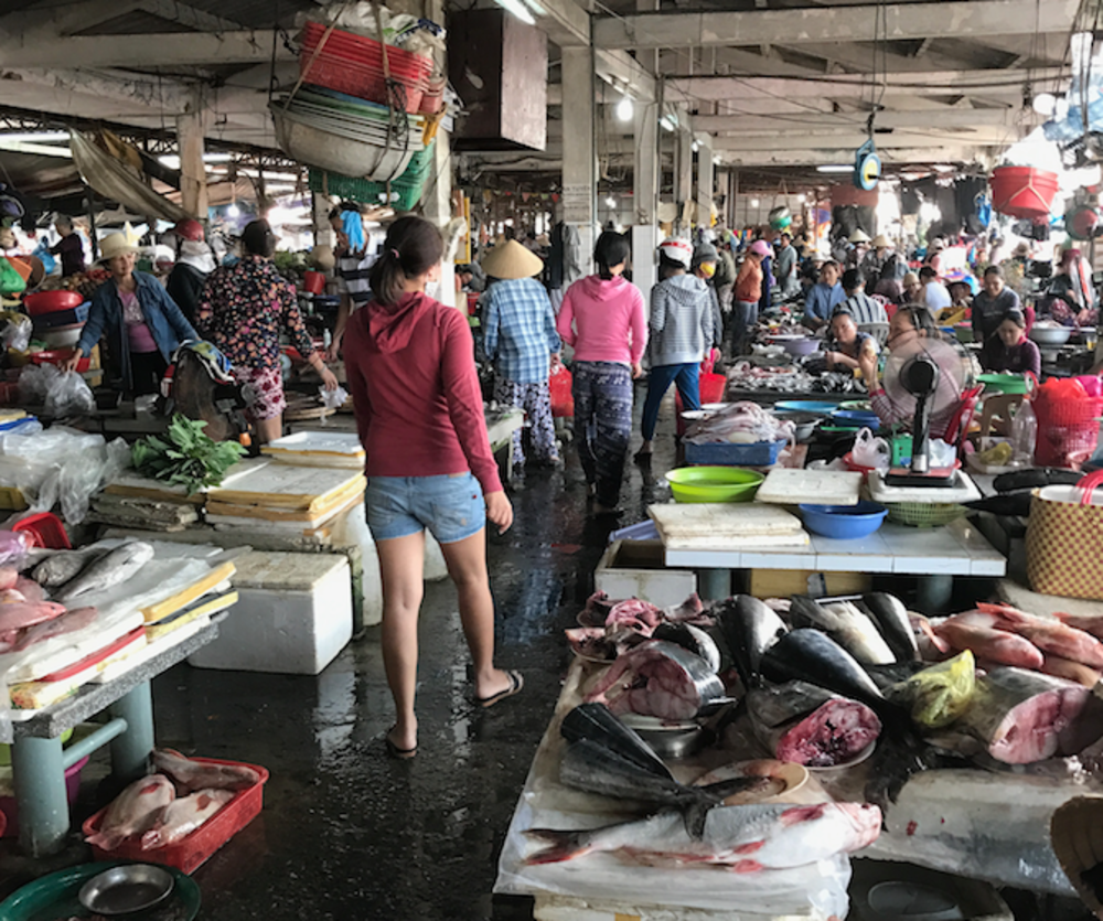 ベトナム世界遺産の町並み、ホイアンを疾走の写真4