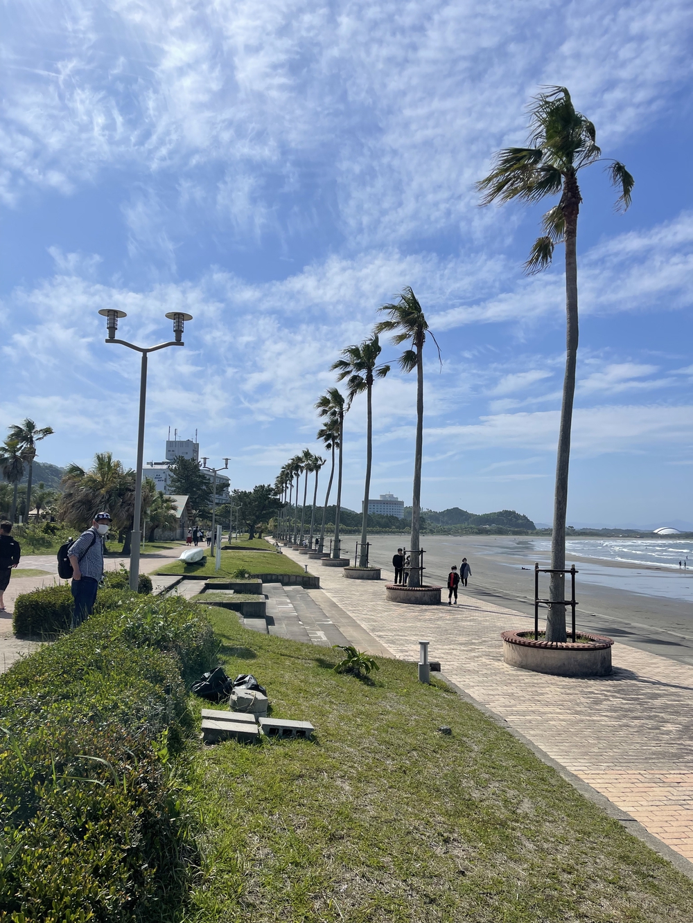 宮崎　青島ランニングコース　往復10kmの写真3