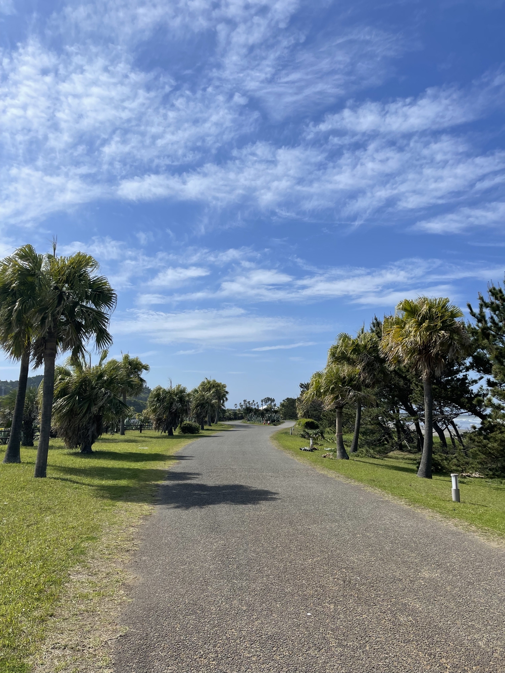 宮崎　青島ランニングコース　往復10kmの写真5