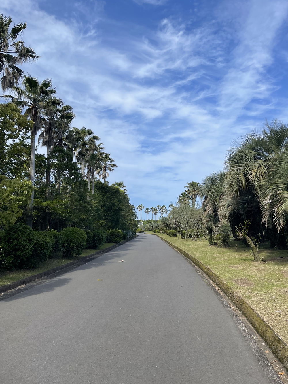 宮崎　青島ランニングコース　往復10kmの写真8