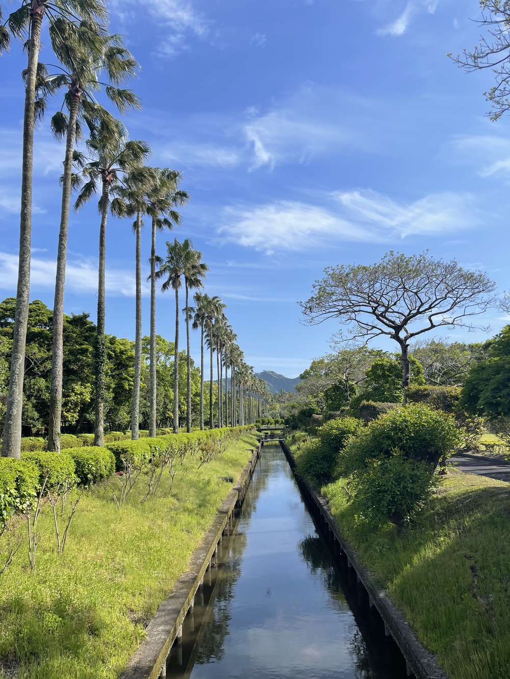 宮崎　青島ランニングコース　往復10kmの写真9