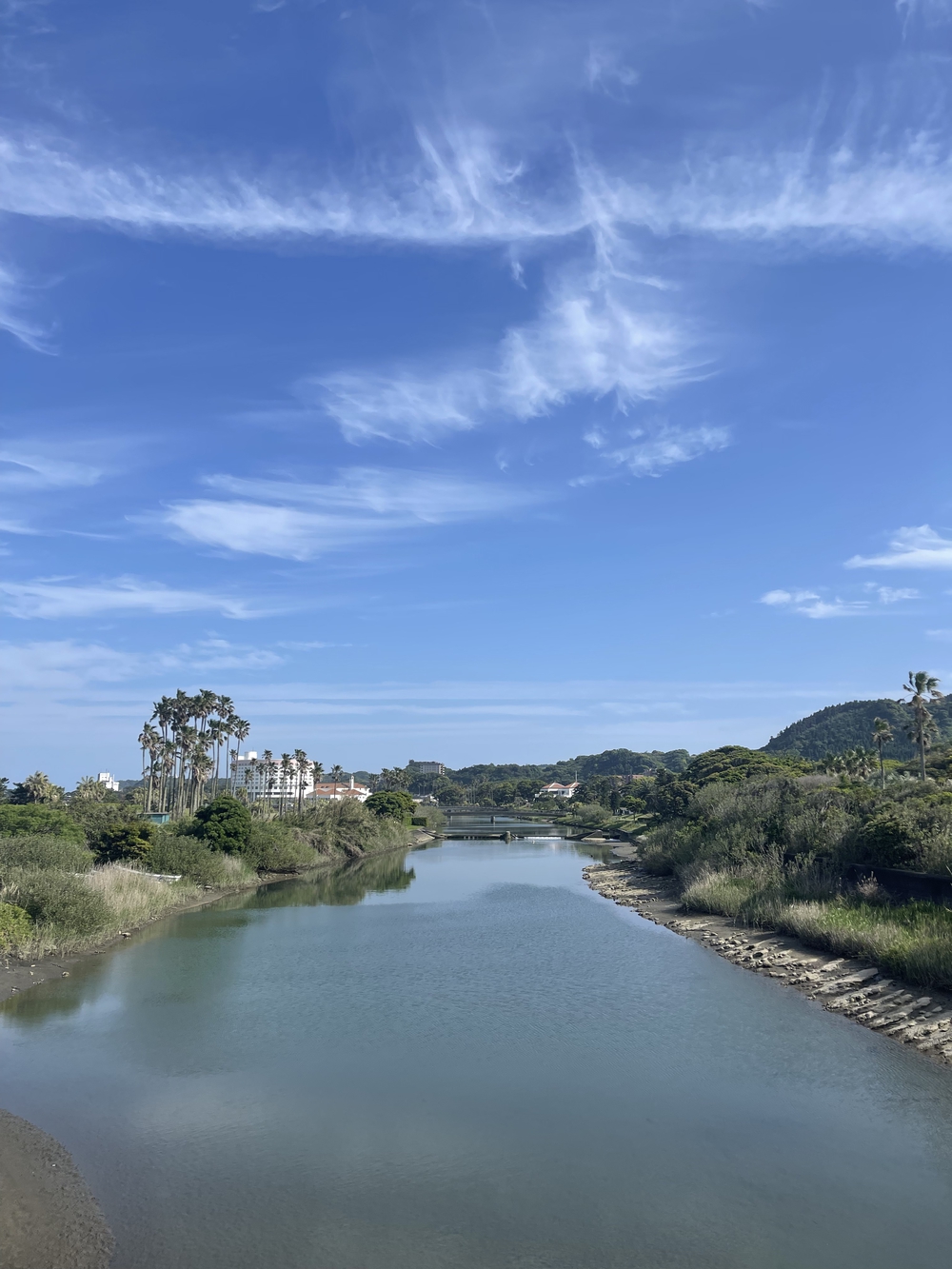 宮崎　青島ランニングコース　往復10kmの写真11