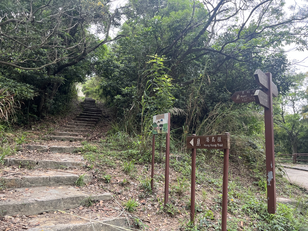 香港トレイルpart1(section1〜4)約21.3kmの写真3