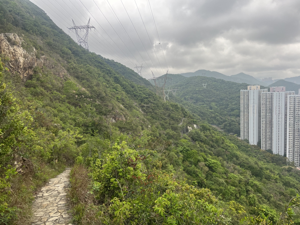 香港トレイルpart1(section1〜4)約21.3kmの写真5