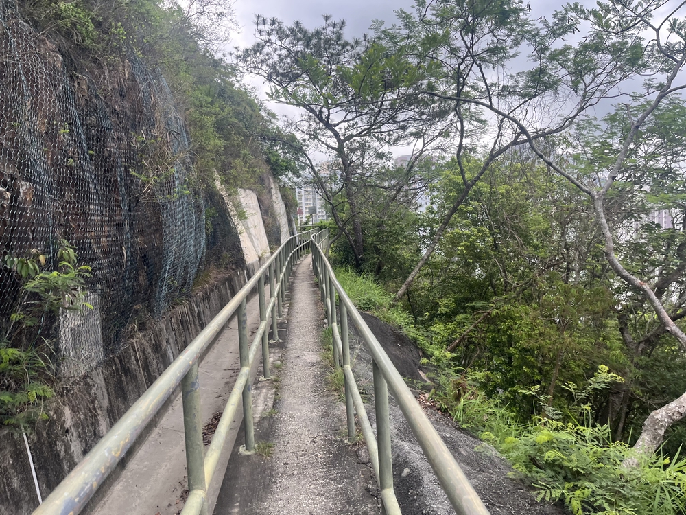 香港トレイルpart1(section1〜4)約21.3kmの写真6