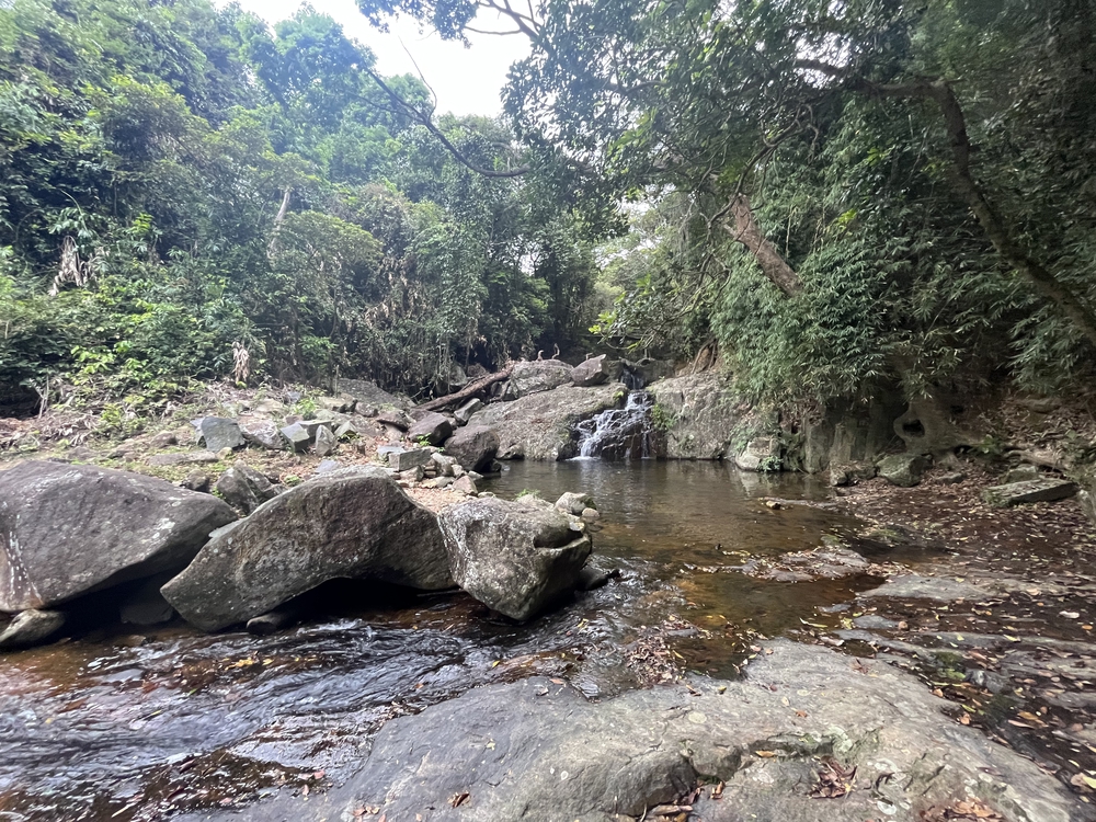 香港トレイルpart1(section1〜4)約21.3kmの写真7