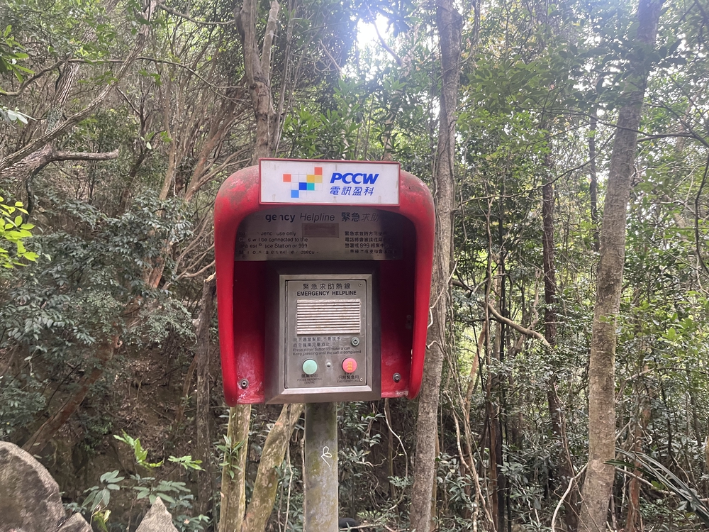 香港トレイルpart1(section1〜4)約21.3kmの写真9