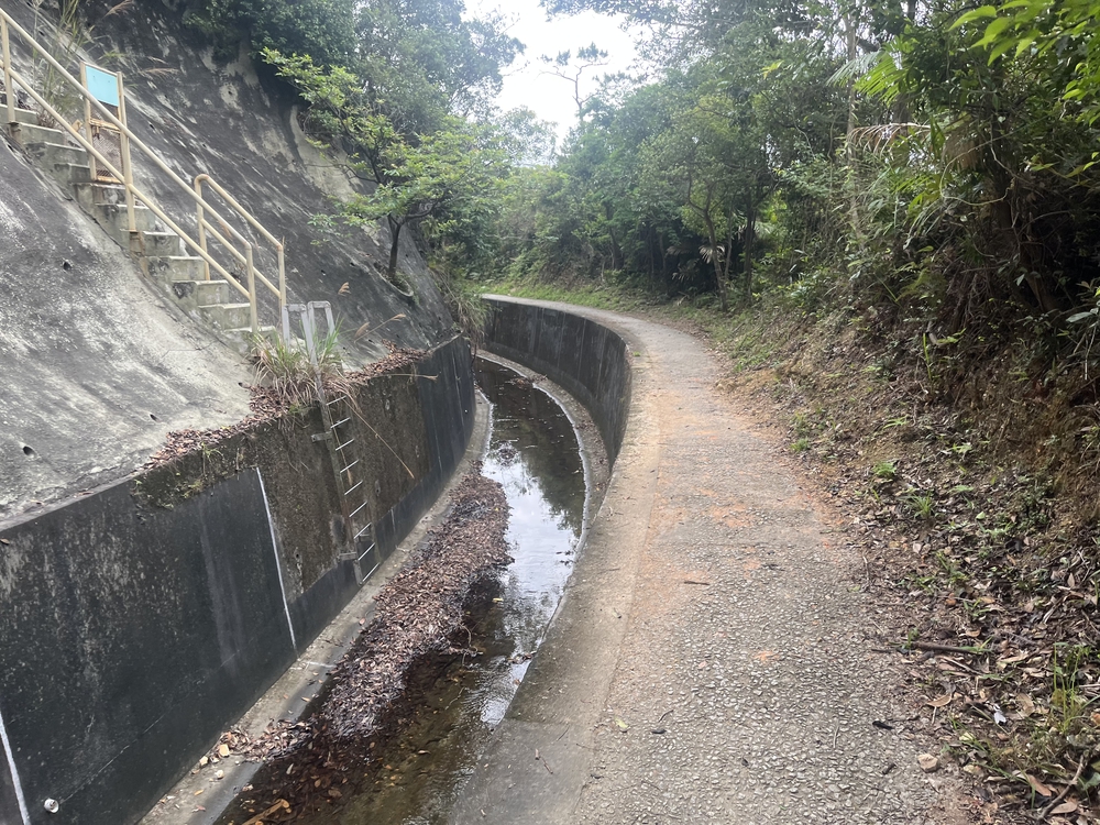 香港トレイルpart1(section1〜4)約21.3kmの写真10