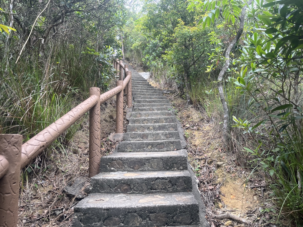 香港トレイルpart1(section1〜4)約21.3kmの写真11