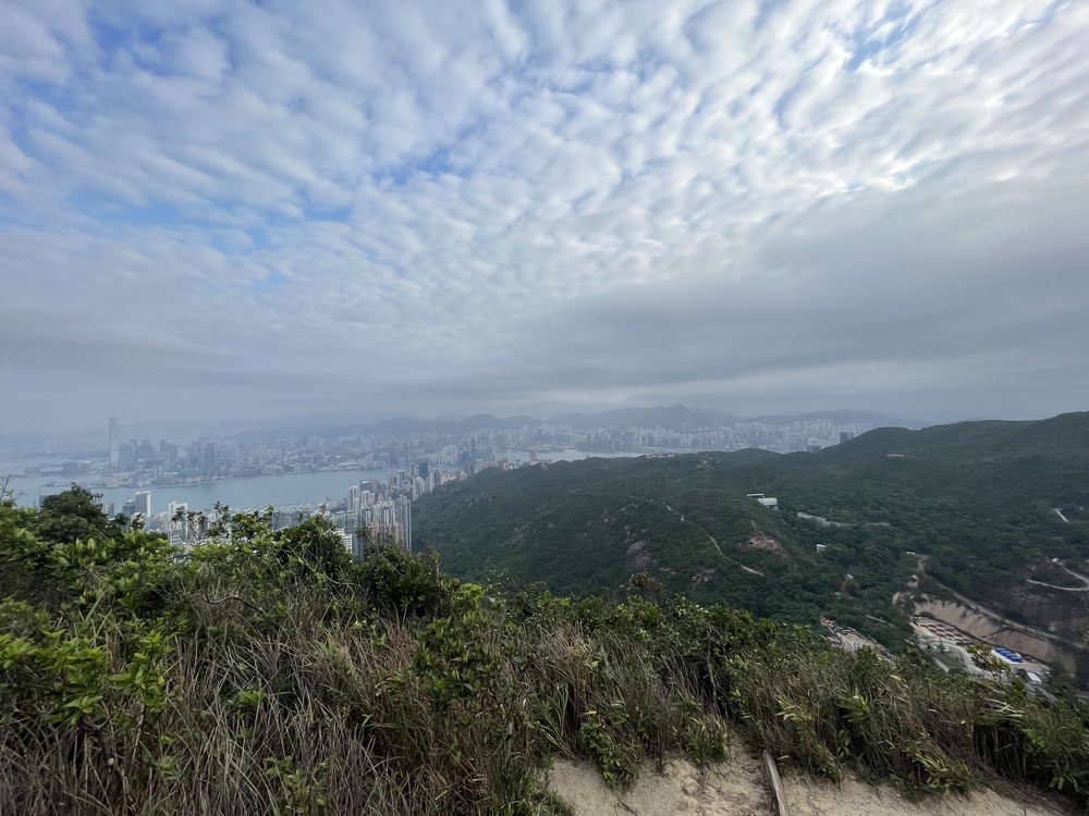 香港トレイルpart2(section5〜8)約22kmの写真3