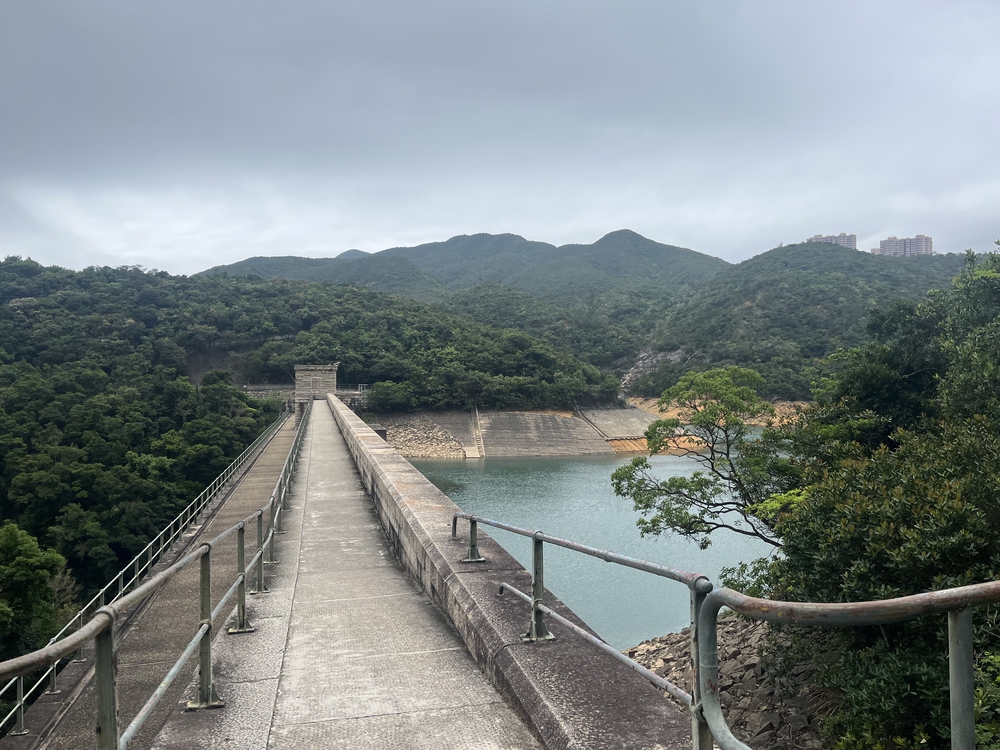 香港トレイルpart2(section5〜8)約22kmの写真6