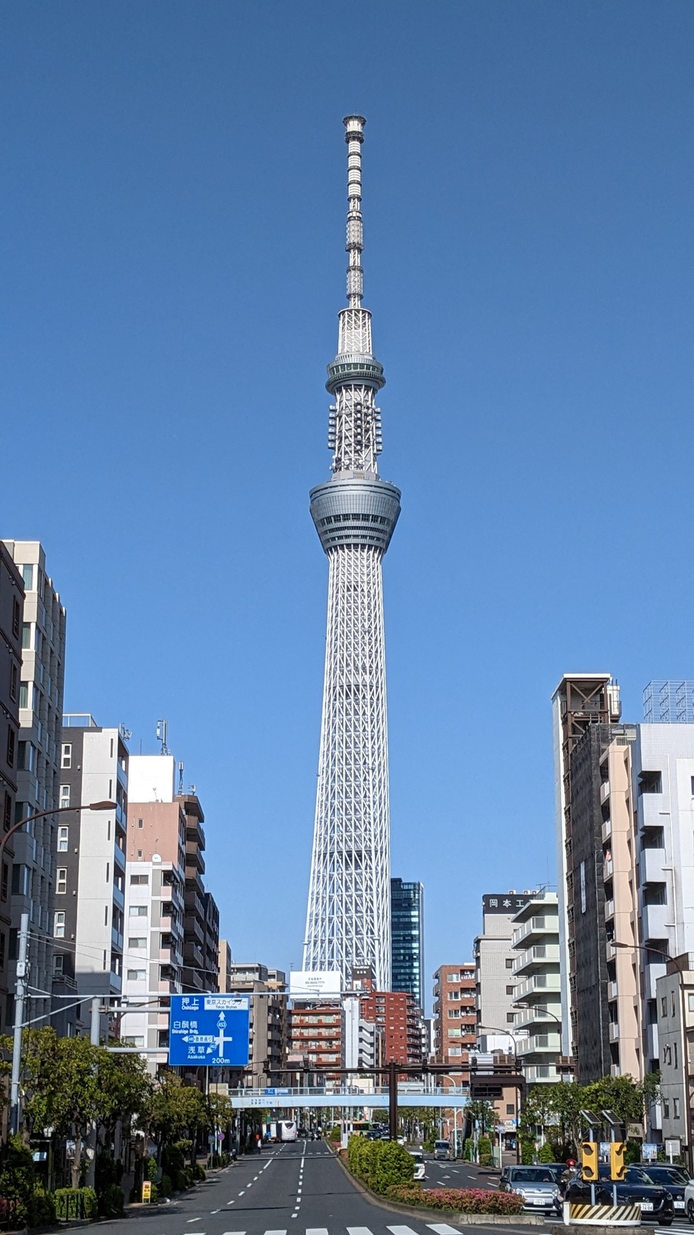 東京 ３時のおやつランの写真3