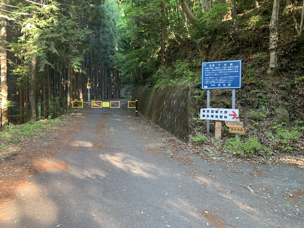 奥多摩トレイル 六ツ石山から鷹ノ巣山への写真3