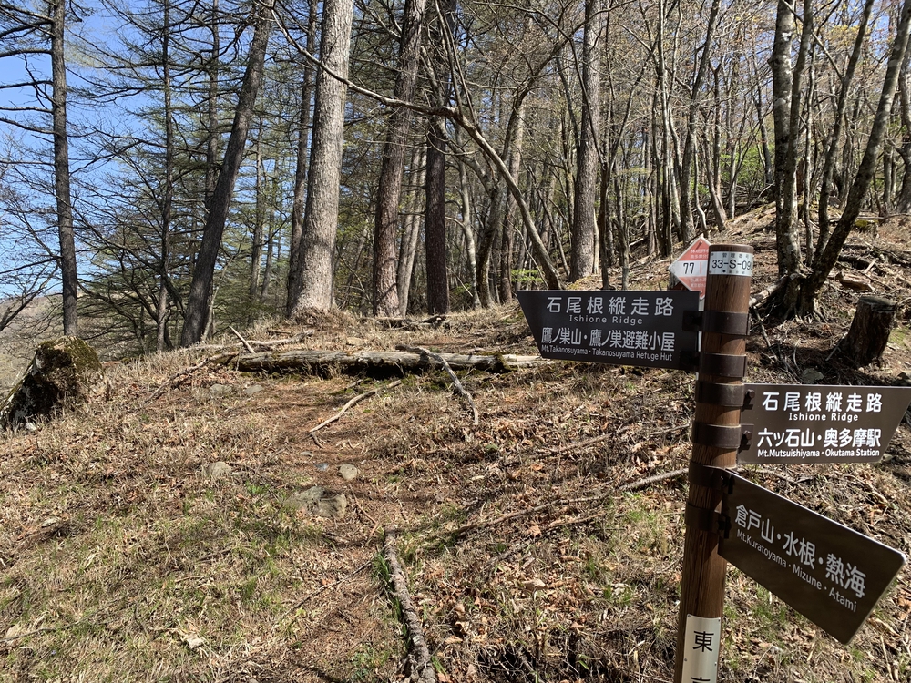 奥多摩トレイル 六ツ石山から鷹ノ巣山への写真6