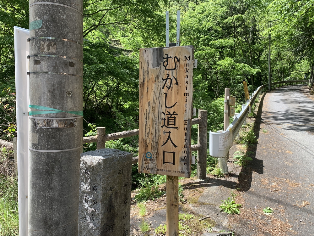 奥多摩トレイル 六ツ石山から鷹ノ巣山への写真8