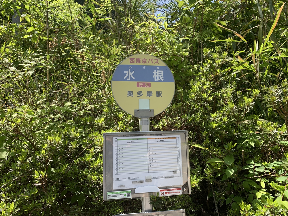 奥多摩トレイル 六ツ石山から鷹ノ巣山への写真9