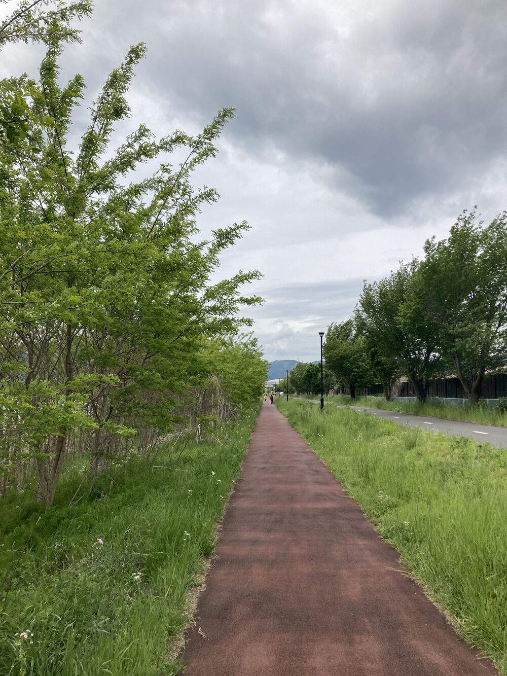 ご馳走様でした♪諏訪湖一周コース（16ｋｍ）の写真6