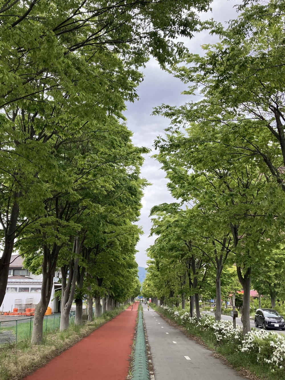 ご馳走様でした♪諏訪湖一周コース（16ｋｍ）の写真10