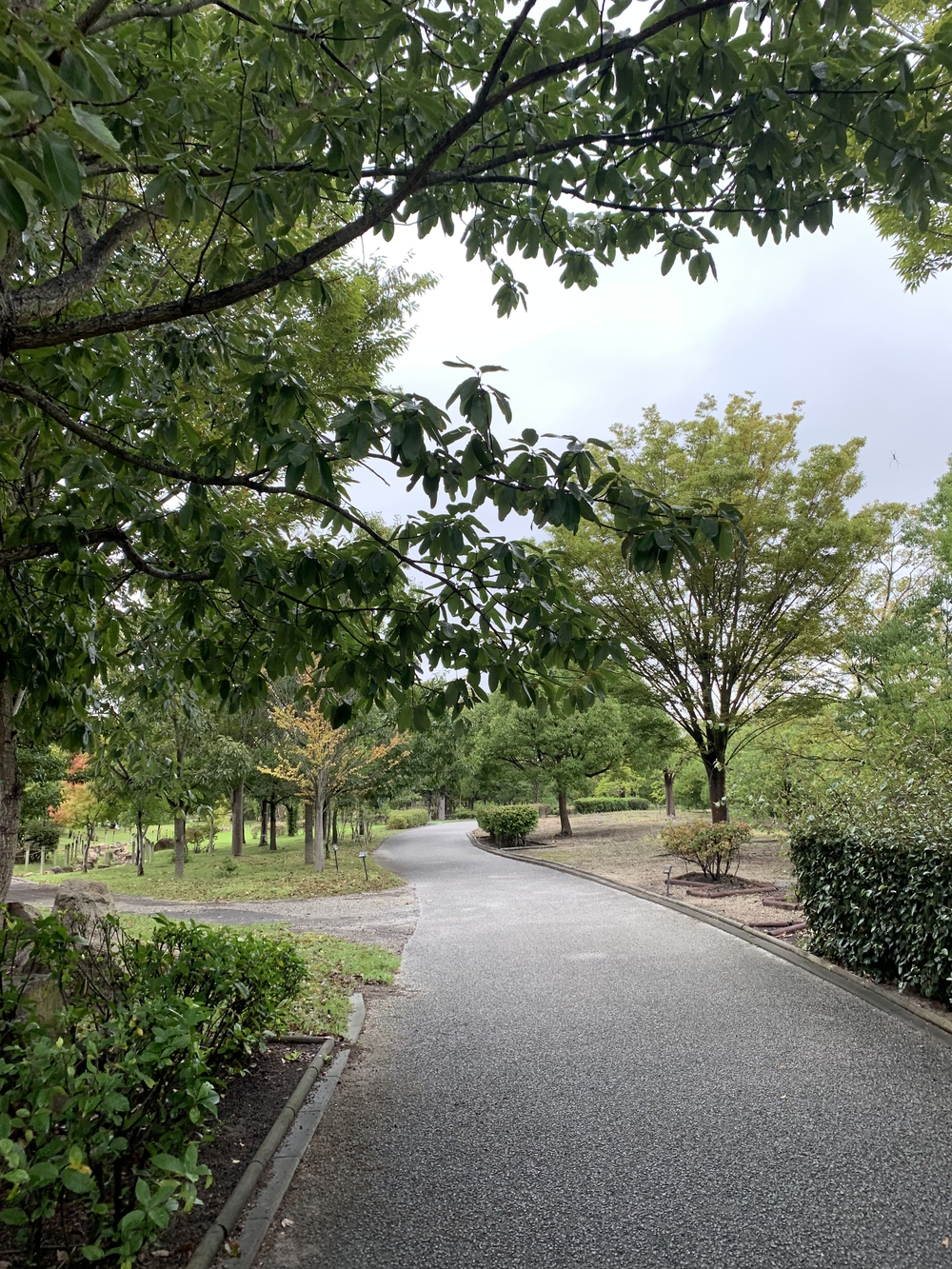 児島湾大橋アタックの写真3