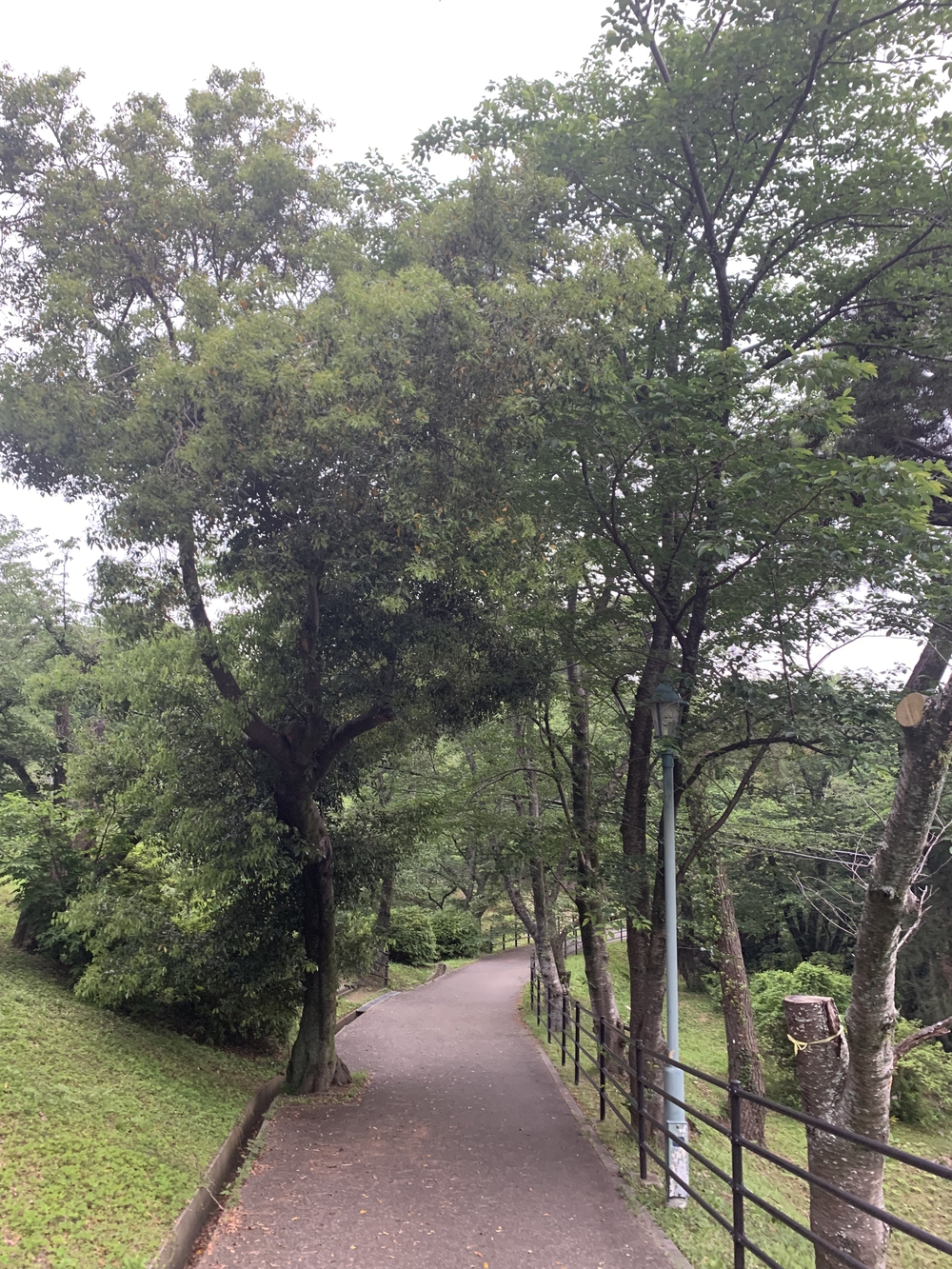 福岡　西公園＋大濠公園＋福岡城周回の写真4
