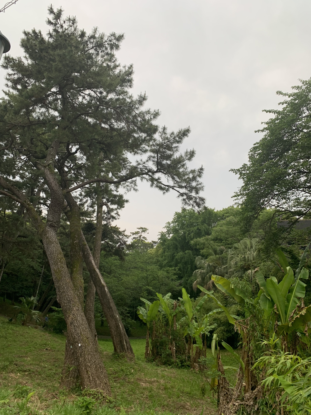 福岡　西公園＋大濠公園＋福岡城周回の写真5