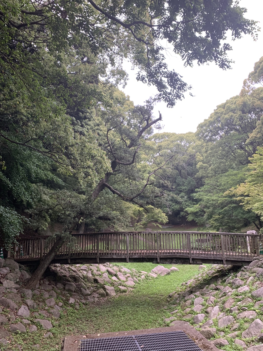 福岡　西公園＋大濠公園＋福岡城周回の写真8