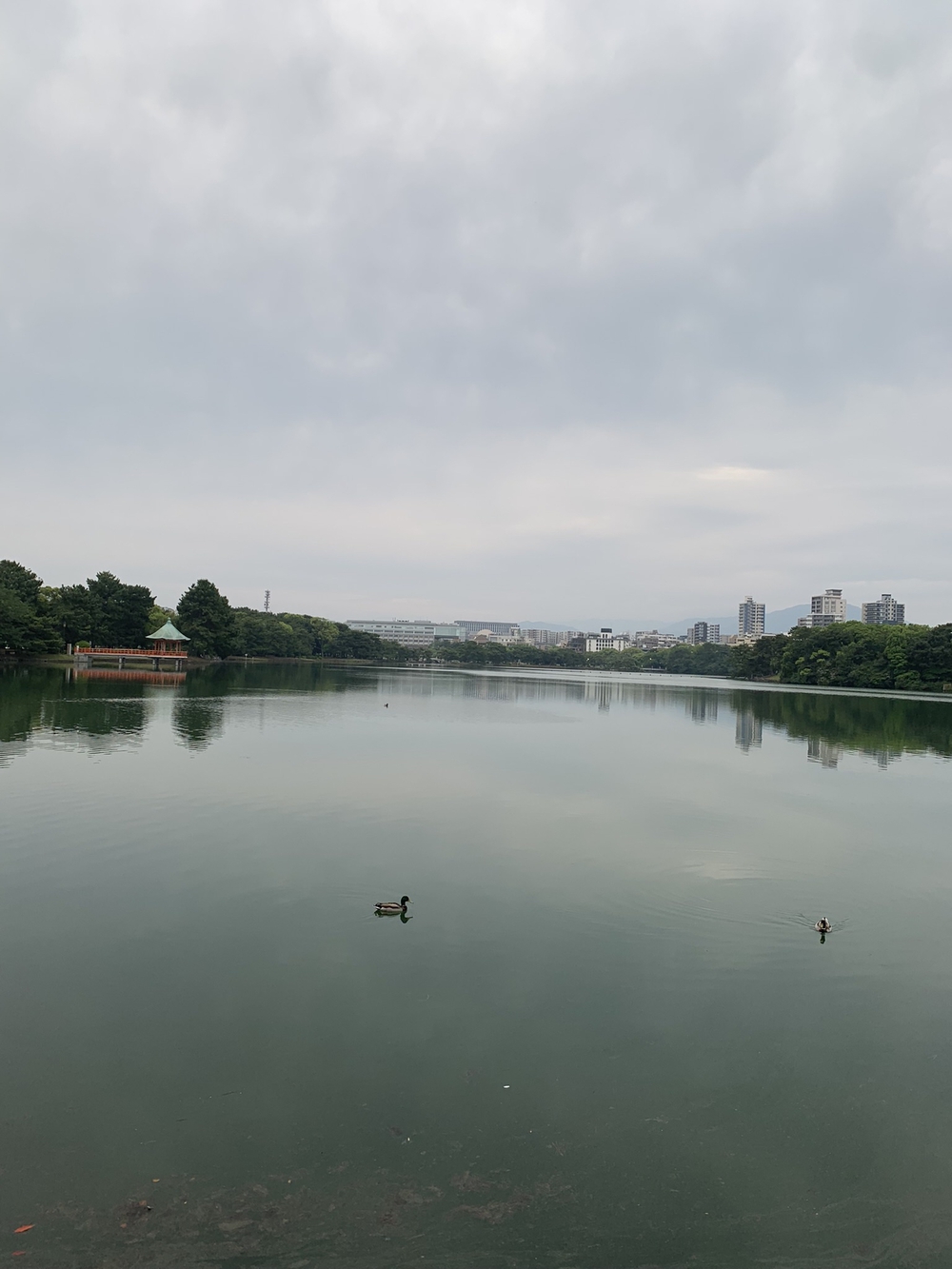 福岡　西公園＋大濠公園＋福岡城周回の写真15