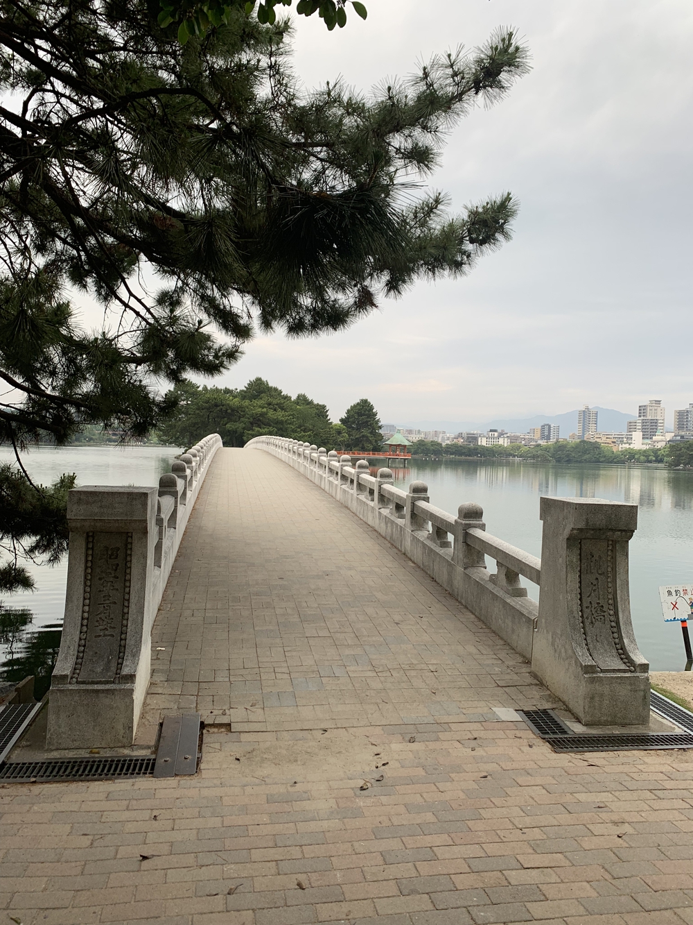 福岡　西公園＋大濠公園＋福岡城周回の写真22