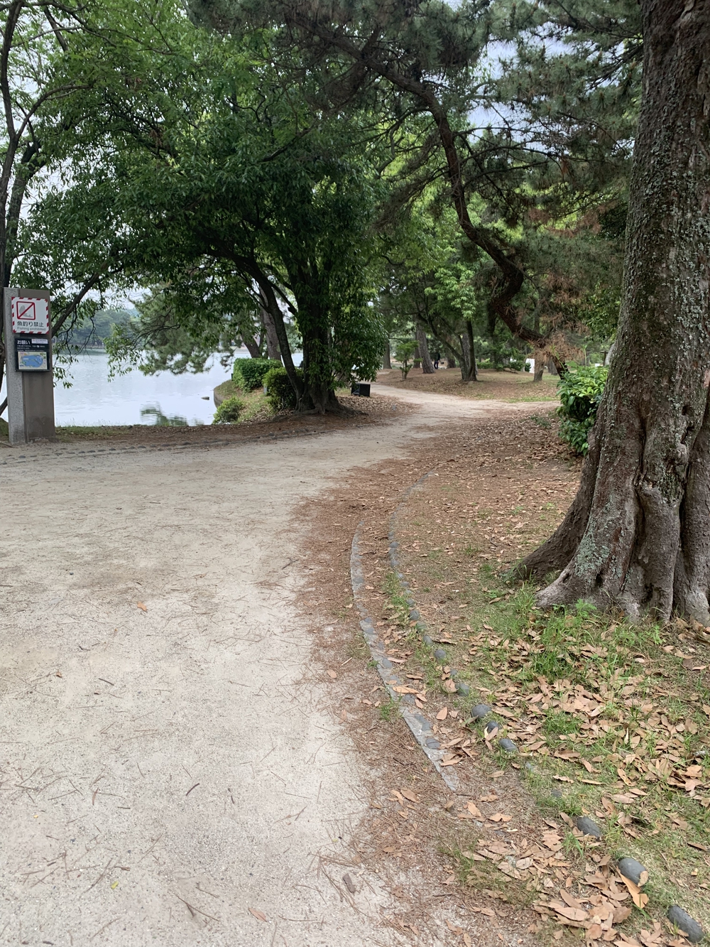 福岡　西公園＋大濠公園＋福岡城周回の写真24