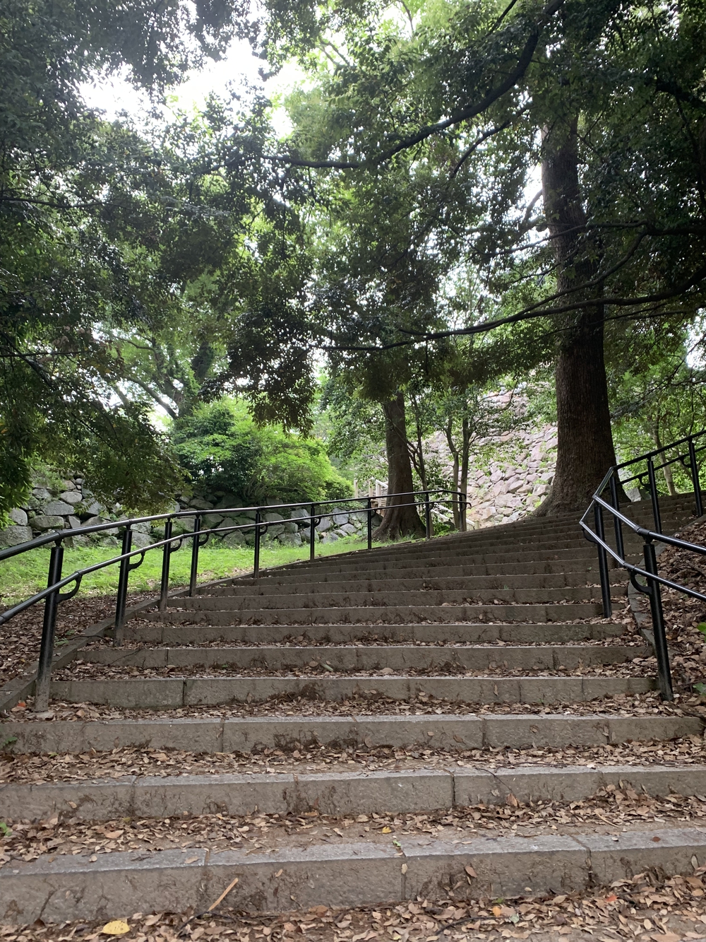 福岡　西公園＋大濠公園＋福岡城周回の写真25